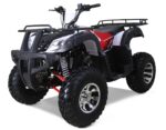 New Tao Motor BULL 200S 169cc ATV, Automatic Transmission, 4-Stroke Single Cylinder, Air-Cooled