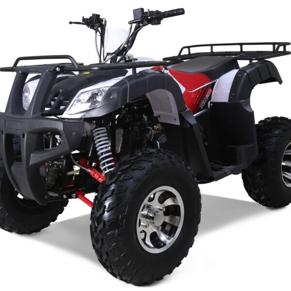 New Tao Motor BULL 200S 169cc ATV, Automatic Transmission, 4-Stroke Single Cylinder, Air-Cooled