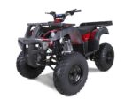Tao Motor RHINO 250 ATV, 4-Stroke Single Cylinder with Manual Transmission, Air-Cooled Engine