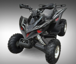 KD200ATV-ASG-4.jpeg