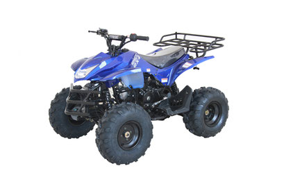 Shark-9 125cc