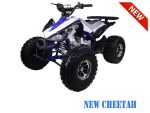 TaoTao New Cheetah 120cc ATV, Fully Automatic with Reverse, 4-Stroke, Single Cylinder, Air Cooled