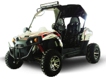 Challenger 300-X UTV Trail Master
