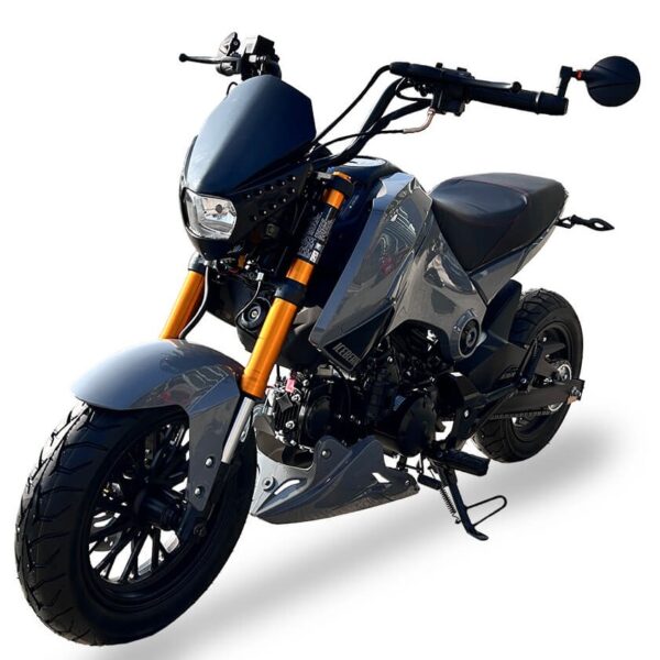 Ice Bear Fuerza (PMZ125-1) 125cc Motorcycle, 4-speed manual, 12″ aluminum wheels