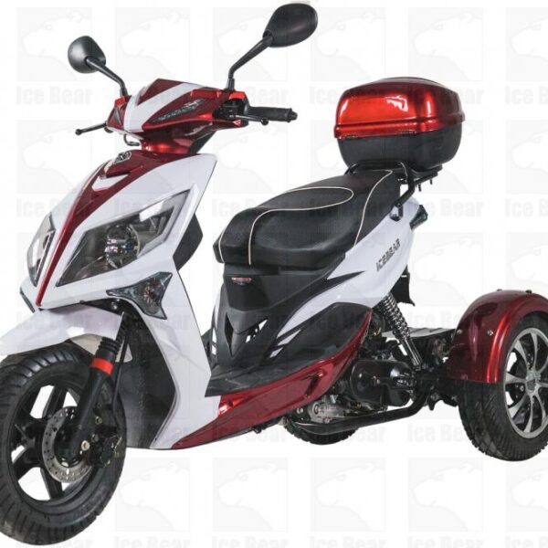 50cc Trike MOJO MAGIC(PST50-1）