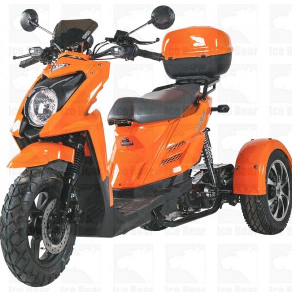 50cc Trike SHARK(PST50-2)