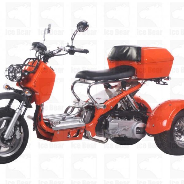 150cc Trike VIKING (PST150-8)