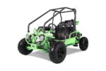 Tao Motor GK110 Youth Go Kart, Fully Automatic With Reverse, 7 inch tires