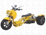 ICEBEAR MADDOG TRIKE 150CC（PST150-19N）