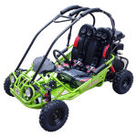 MINI XRX-R  170cc