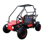 Coolster GK-6125B 125cc Go-Kart, Fully Automatic, 4-Stroke Single Cylinder, Air-Cooled, Electric Start