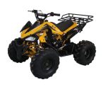 RPS Sporty Cheetah 125 ATV A.K.A Jet 9 Quad