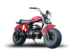 Minibike MB200-2