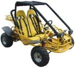Sahara 150 Go Kart