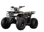 Tao Motor MudHawk 10 ATV, 4-Stroke Single Cylinder, Air-Cooled, Electric Start Only