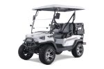 TaoMotor Champ Golf Cart 48V