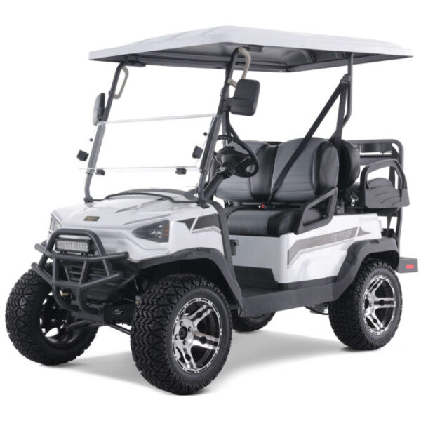 TaoMotor Champ Golf Cart 48V