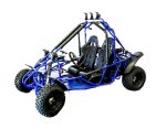 Transformer_200_Go_Kart25.jpeg