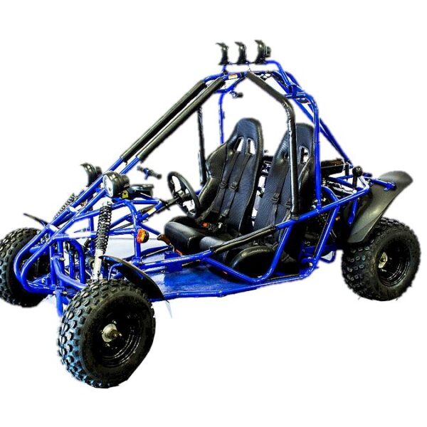 RPS Transformer 200cc Go-Kart, Fully Automatic with Reverse, 4-Stroke, Single Cylinder, Electric Start