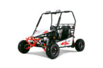 Tao Motor Triton 125 Go-Kart With Fully Automatic with Reverse, 4-Stroke Single Cylinder, Air-Cooled