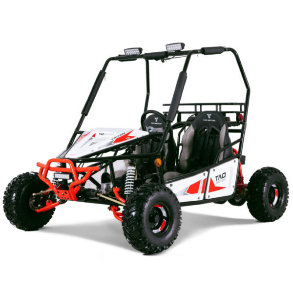 Tao Motor Triton 125 Go-Kart With Fully Automatic with Reverse, 4-Stroke Single Cylinder, Air-Cooled