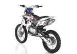 image (9)