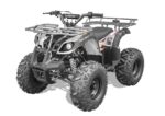 Vitacci RIDER-9 125cc ATV, 4-Stroke, Single cylinder, air-cooled, Electric Start
