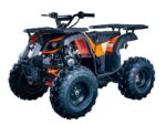 Vitacci Rider 10 125cc ATV, Automatic with Reverse, 4-Stroke Single Cylinder Engine, Air-Cooled