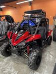 RPS Tiking 125-3 (TK125-3) Go-Kart, Semi-Automatic Transmission, 4-Stroke Engine, Air-Cooled