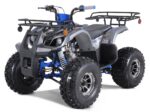 New Tao Motor T-FORCE PLATINUM 120cc ATV, 4-Stroke Single Cylinder, Air-Cooled, Aluminum Wheels