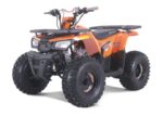 New Rival MUDHAWK 10 Off-Road ATV, Fully Automatic Transmission with Reverse, 8-Inch Wheels
