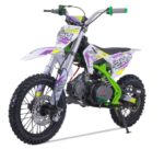 Tao Motor DB24 107cc Semi-Automatic Dirt Bike, 4-Stroke, Single Cylinder, Air Cooled