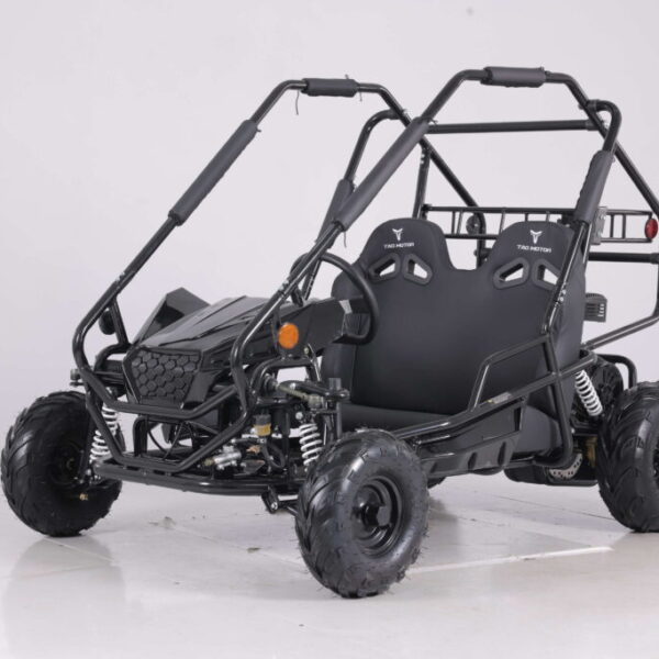 Tao Motor New Baja Sprinter 200 Go-Kart, 196cc Engine, 4-Stroke, Manual Pull Start