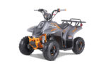New Tao Motor ROCK110 ATV, 107cc 4-Stroke Engine, Automatic Transmission, Single Cylinder, Air-Cooled