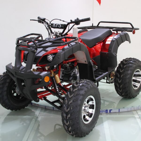 RPS TK200ATV-BS 200cc Off-Road ATV, Fully Automatic with Reverse, Electric Start