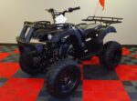RPS Desert 200 Utility ATV, Automatic with Reverse, 21 inch Tires