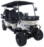 TBM-X6-GOLF-CART-15