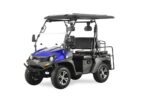 Trailmaster Taurus 200GX UTV/Golf Cart, Side-by-Side, Full-Length Roof, LED Hi/Lo Headlights, Digital Dashboard