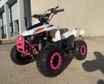 Trailmaster N110 Youth Off-Road ATV, 110cc Engine, Automatic with Reverse, 4-Stroke, Single Cylinder, Air Cooled