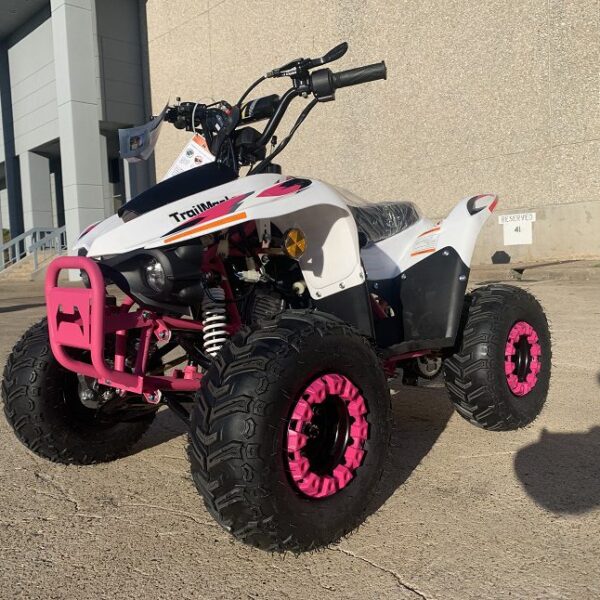 Trailmaster N110 Youth Off-Road ATV, 110cc Engine, Automatic with Reverse, 4-Stroke, Single Cylinder, Air Cooled