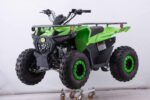 New Vitacci Pentora iRide 125cc ATV, 4-Stroke, Single Cylinder, Air-Cooled, Upward Camshaft with Balance Shaft, Electric Start