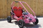 TrailMaster Mini XRX+ Go-Kart Buggy, High Back Seats, Adjustable for Younger Riders, Throttle Limiter, Remote Kill Switch (No Reverse)