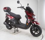 Fighter-Pro-50cc-3