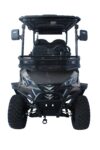 TBM-X4-GOLF-CART-26