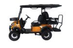 TBM-X4-GOLF-CART-26