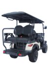 TBM-X4-GOLF-CART-26