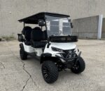 TBM-X6-GOLF-CART-15