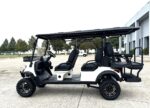 TBM-X6-GOLF-CART-15
