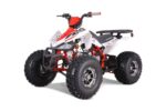 Tao Motor Cheetah Platinum 120cc ATV, Fully Automatic with Reverse, Air-Cooled 4-Stroke Single Cylinder Engine, Rugged Off-Road Design