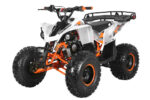 F125001_1024x1024